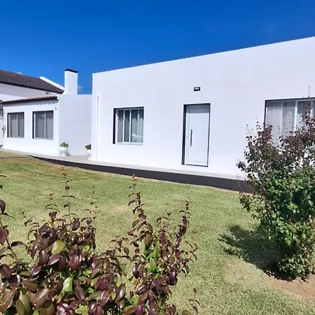 Pineapple Ponta Delgada