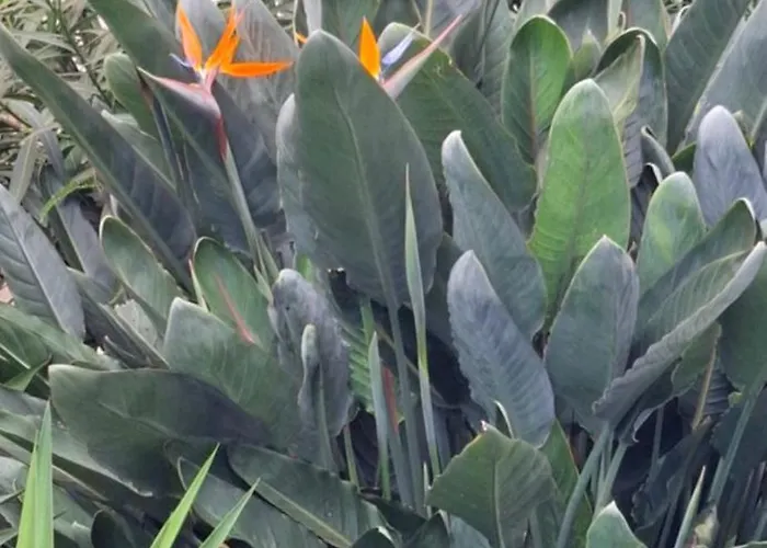 아파트 Pinneapple Studio