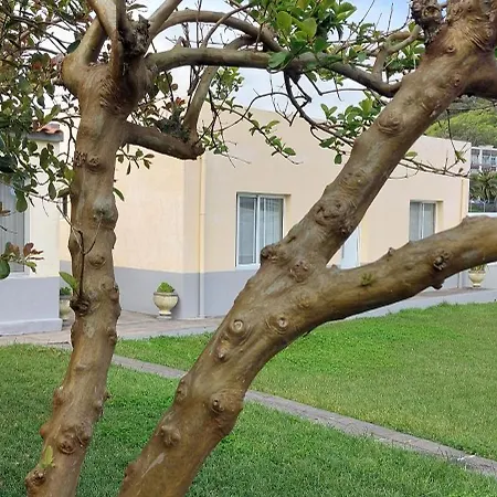 Apartamento Pineapple Ponta Delgada