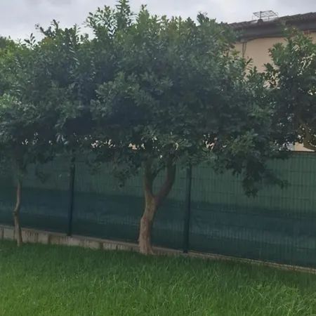 Apartamento Pineapple *