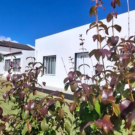 Apartamento Pineapple