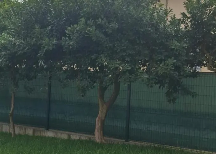 Apartamento Pineapple *