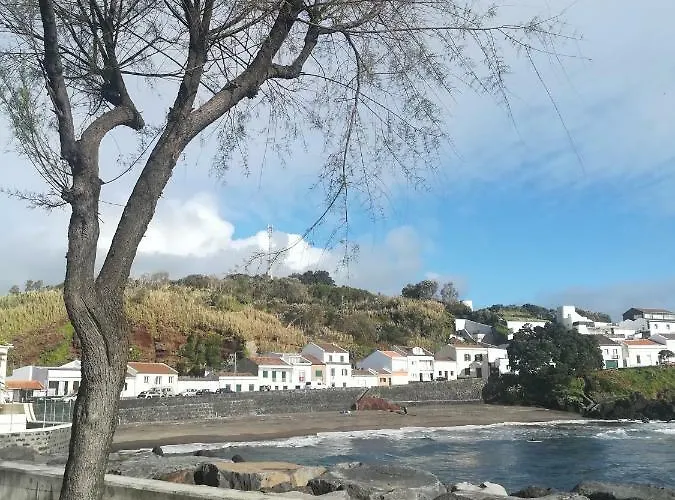 Apartment Pineapple *